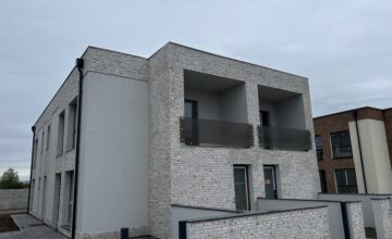 IMG 0184